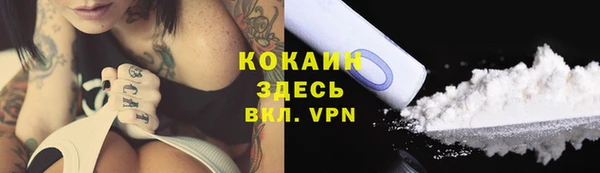 тгк Армянск