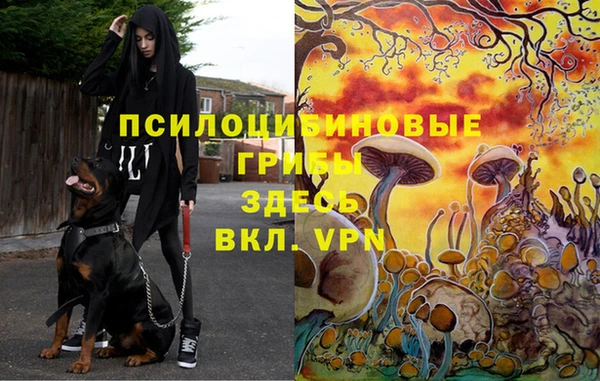 не бодяженный Аркадак