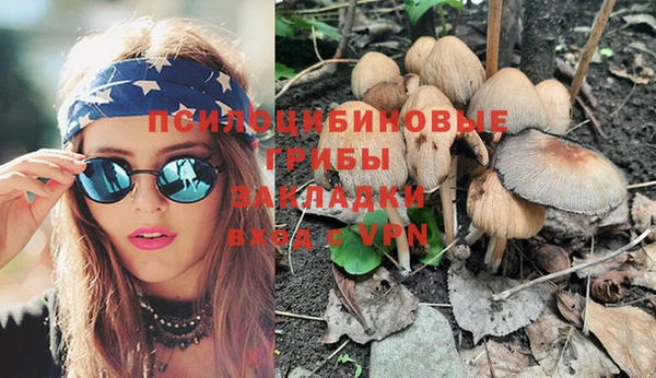 spice Арсеньев